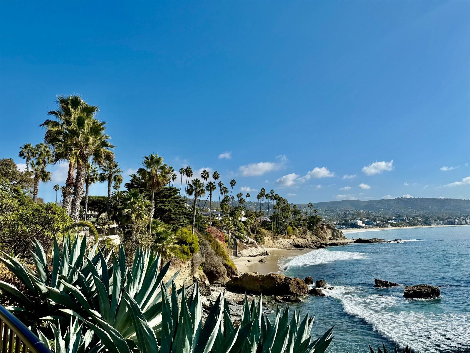 A rocky cove and sandy beach in Laguna Beach framed by palms and agave, one of the best Southern California beach towns