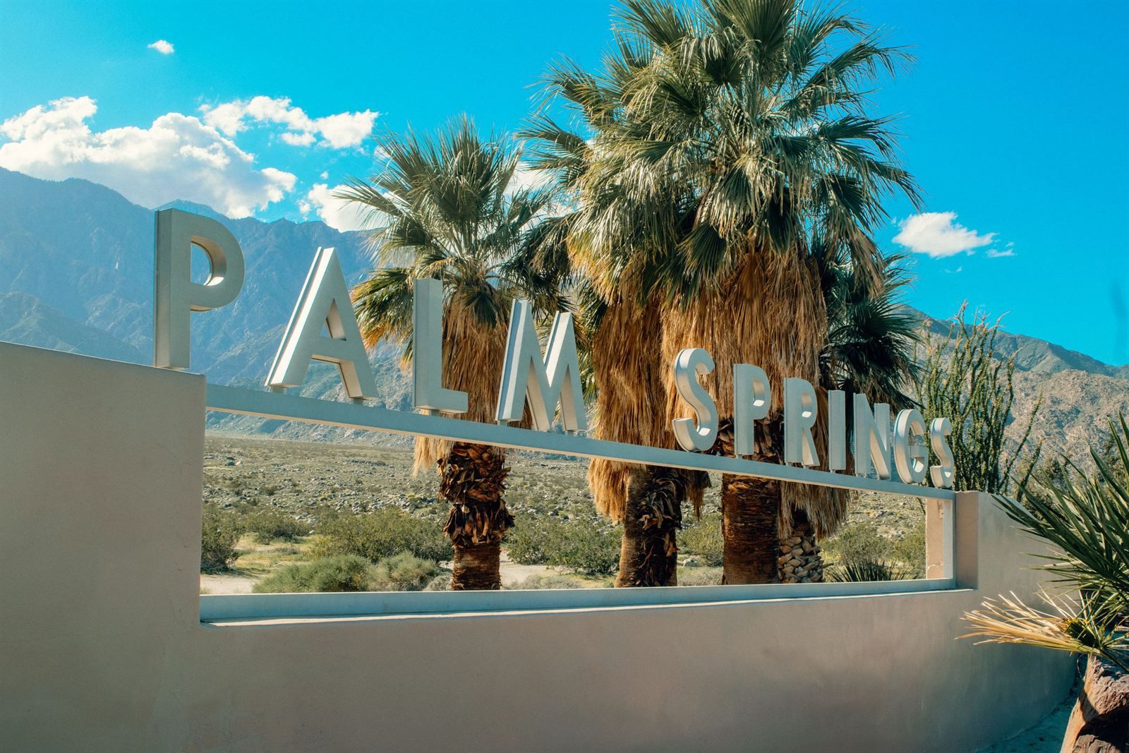 The Palm Springs welcome sign with tall fan palms and desert mountains behind it
